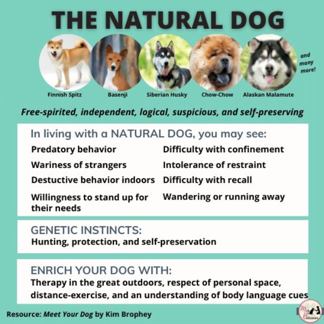 261356864_1543474496017886_8963923941561964705_n