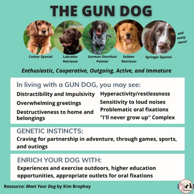 262009866_1543474602684542_401162120073132456_n