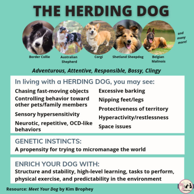 262056453_1543630496002286_5031687440765338380_n