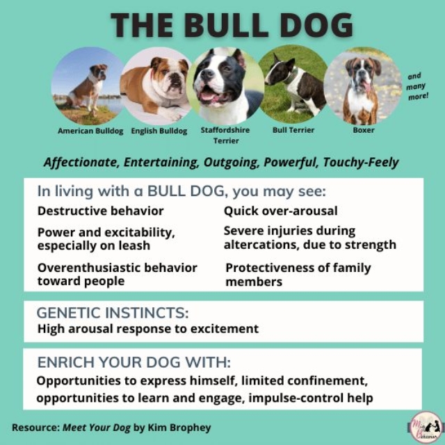 262074718_1543474696017866_2035308529274774643_n