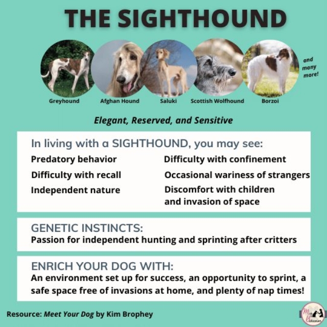 262095350_1543474479351221_4451378537942951944_n