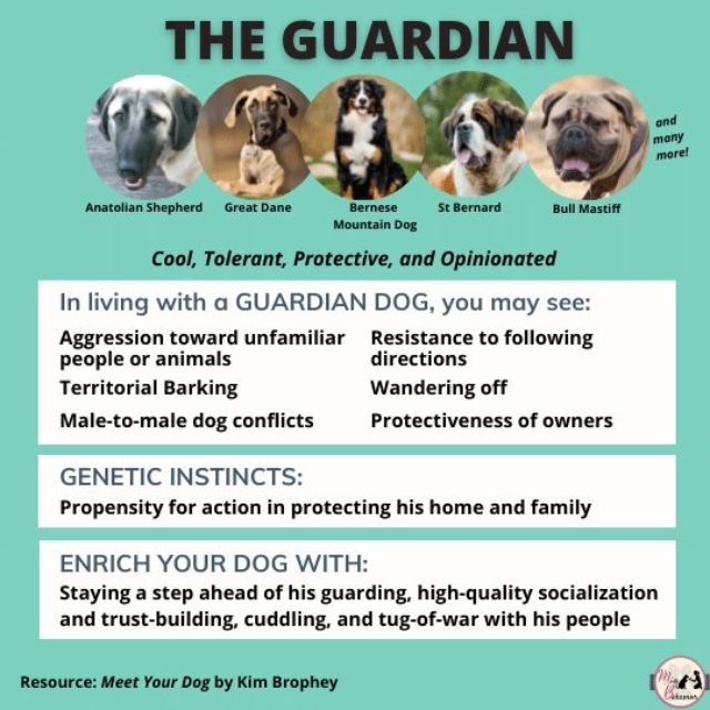 262362922_1543474489351220_6527501748238485335_n