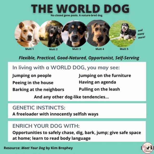 262418327_1543474792684523_2822344080799733997_n