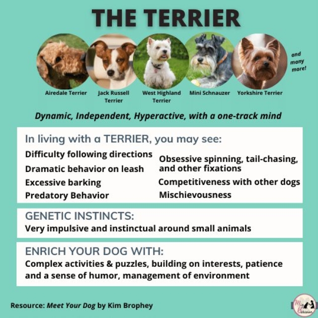 262789416_1543474692684533_7085953437192133944_n