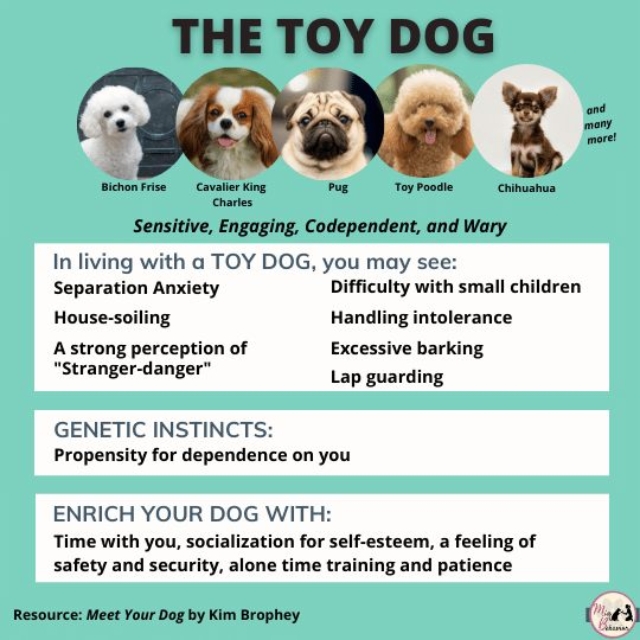 263228272_1543474572684545_7636213232856631356_n