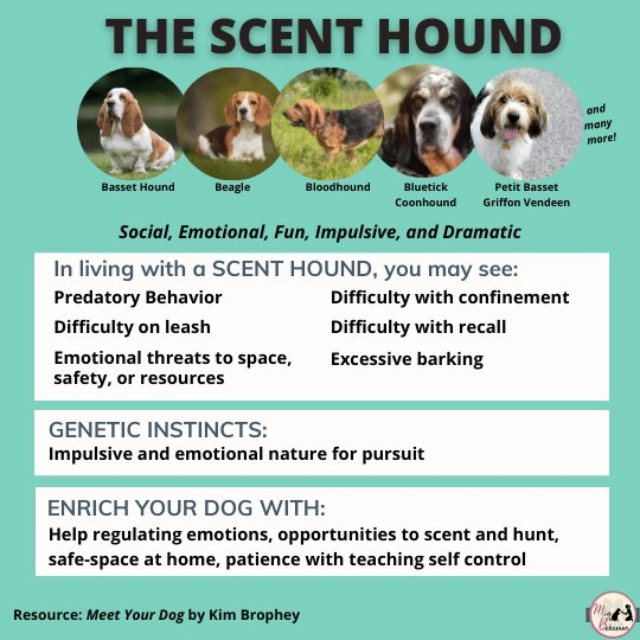 263475715_1543474582684544_6136869072967625798_n